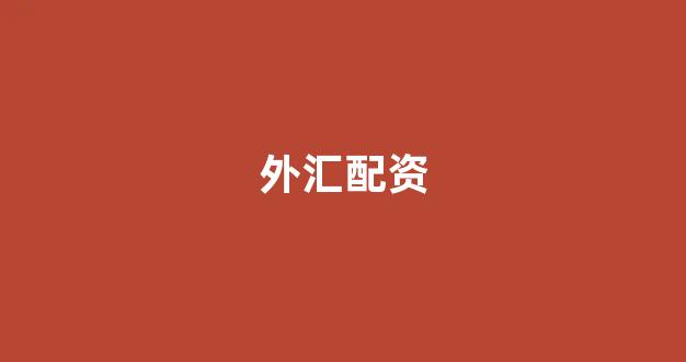 配资行业查询